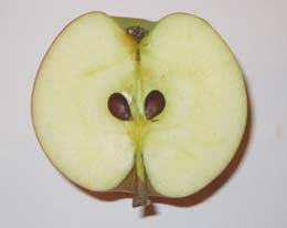 Reifer, aufgeschnittener Apfel